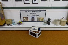 Pioneer Women Who Dared